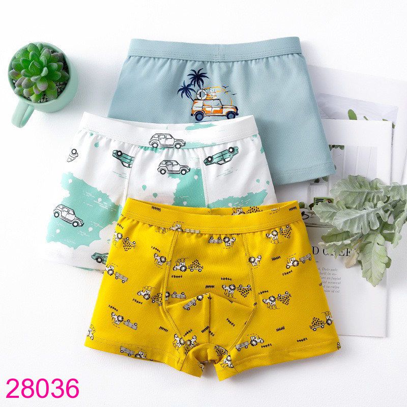  Set 3 Quần Chip Đùi Cotton Cho Bé Trai (6 - 11 tuổi) 