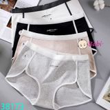 Set 4 Chip Tam Giác Cotton Màu Trơn Size Đại (45-60kg)