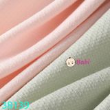 Set 5 Quần Chip Cotton Màu Trơn (45kg - 55kg)