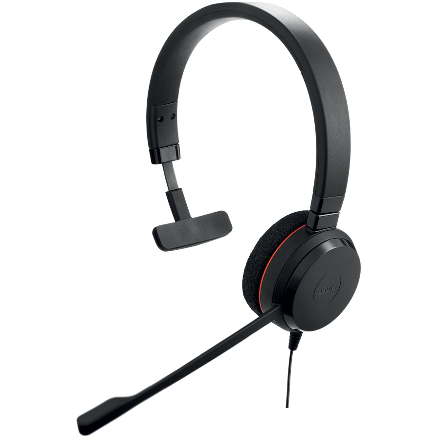  Jabra Evolve 20 