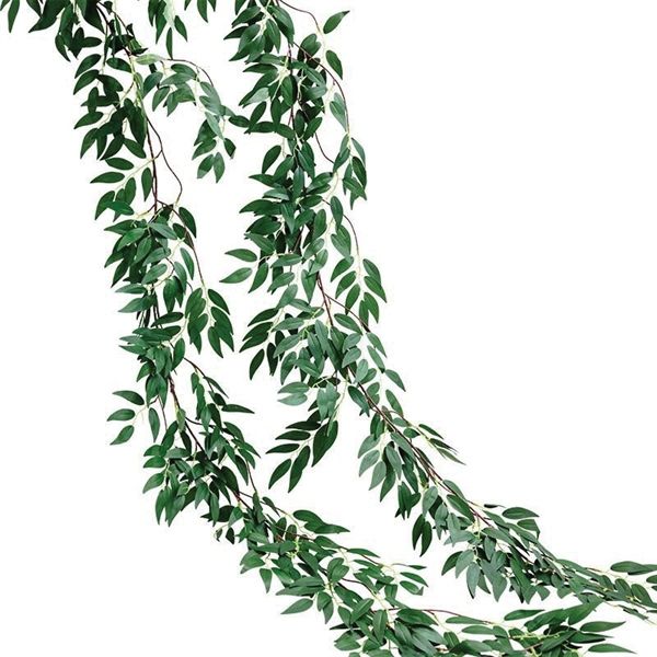 Dây Lá Bạch Đàn