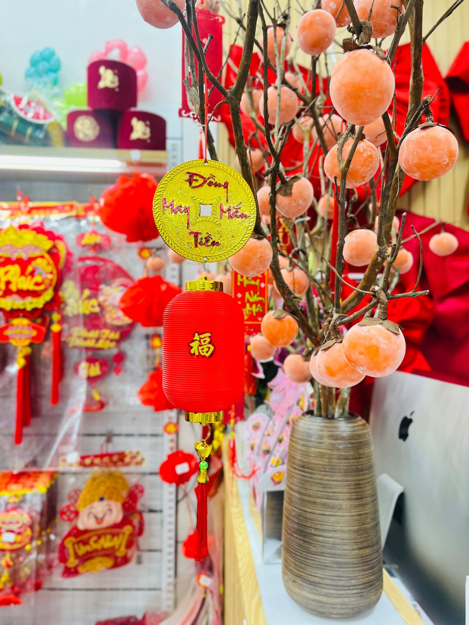 Lồng Đèn + Đồng Tiền