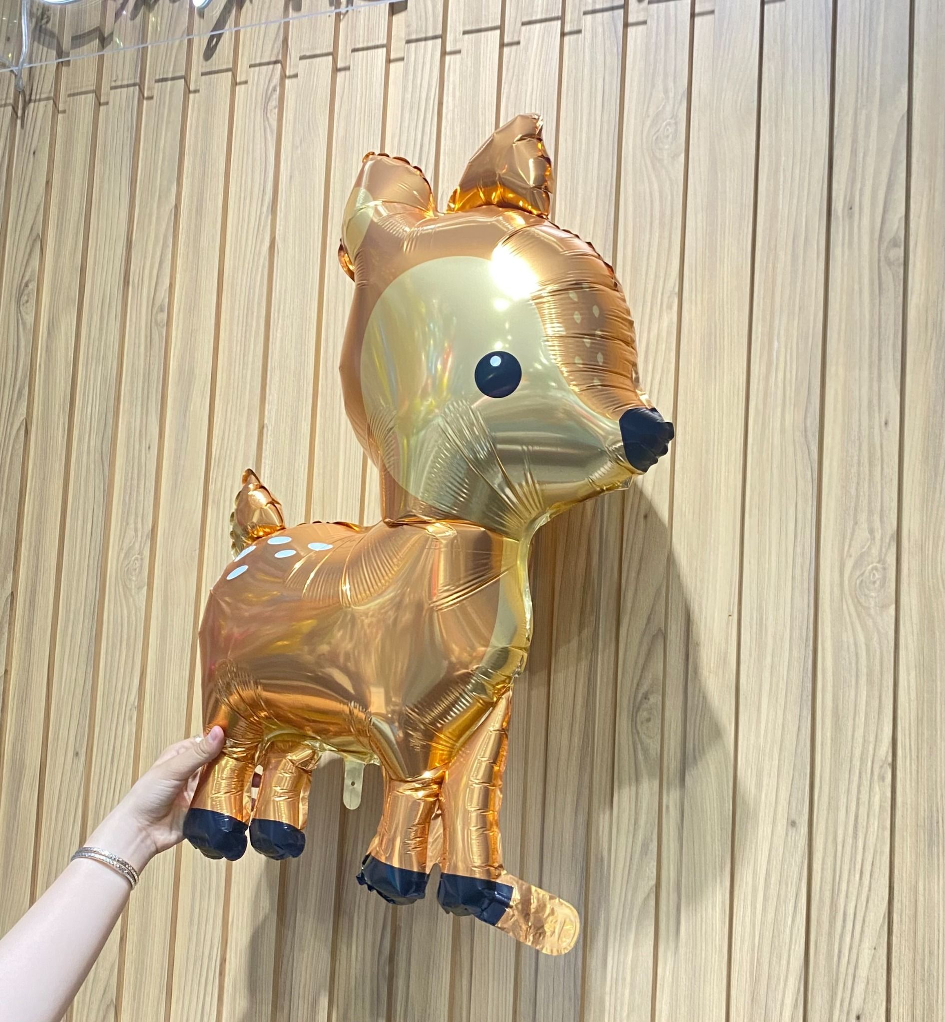 Bóng Hình Nai