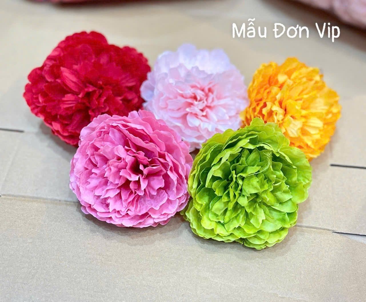 Đầu Bông