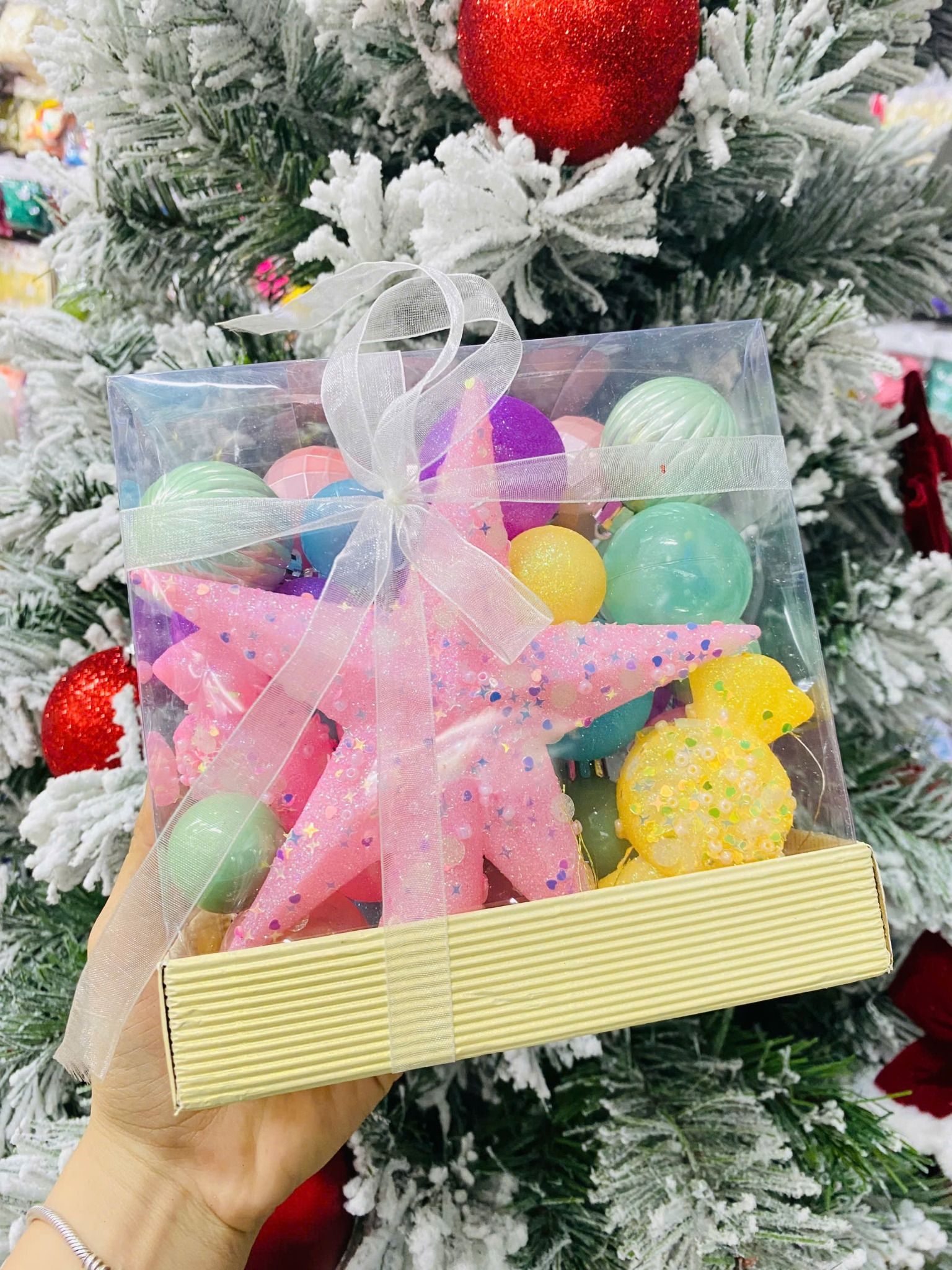 Châu hộp màu pastel