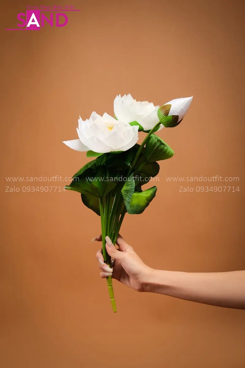 DKK0002 Cành Sen Trắng