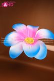 DHM0805 Hoa Cầm Tay Hồng Xanh