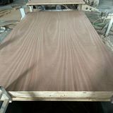  Plywood phủ Veneer 