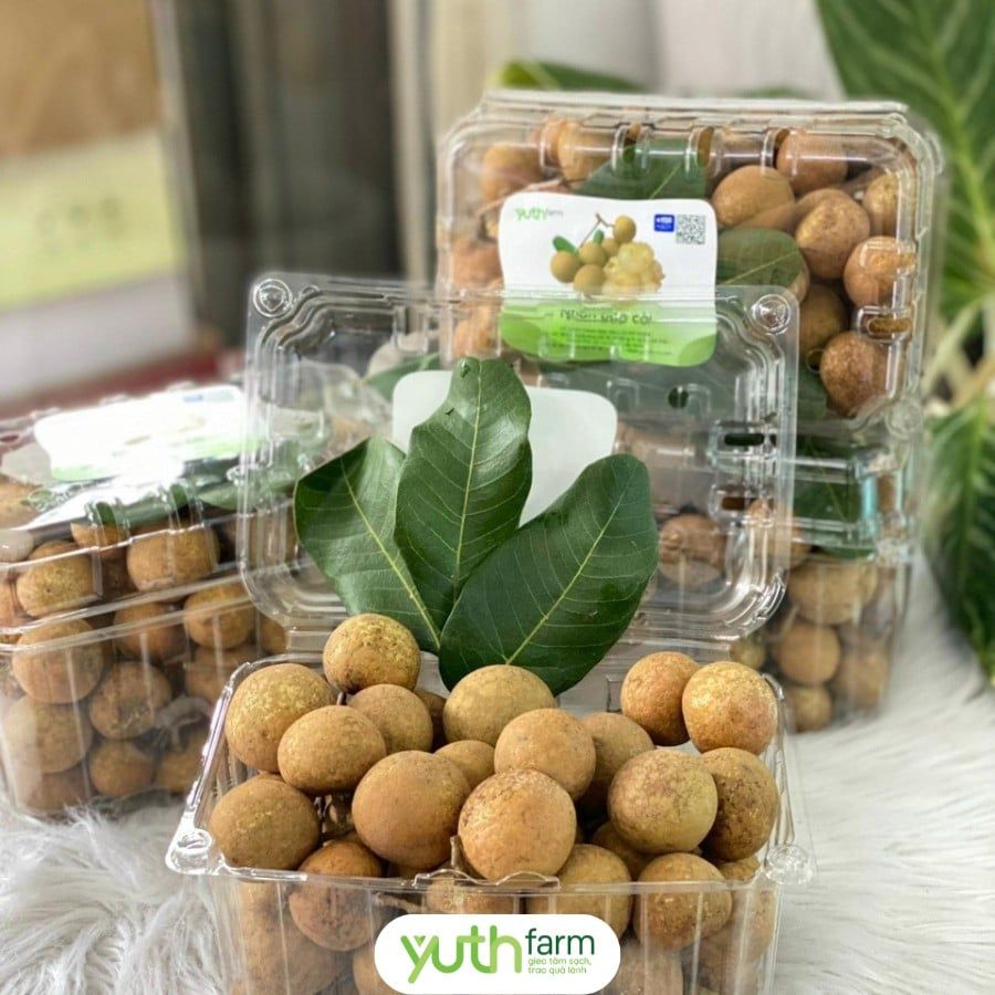 NHÃN BẮP CẢI