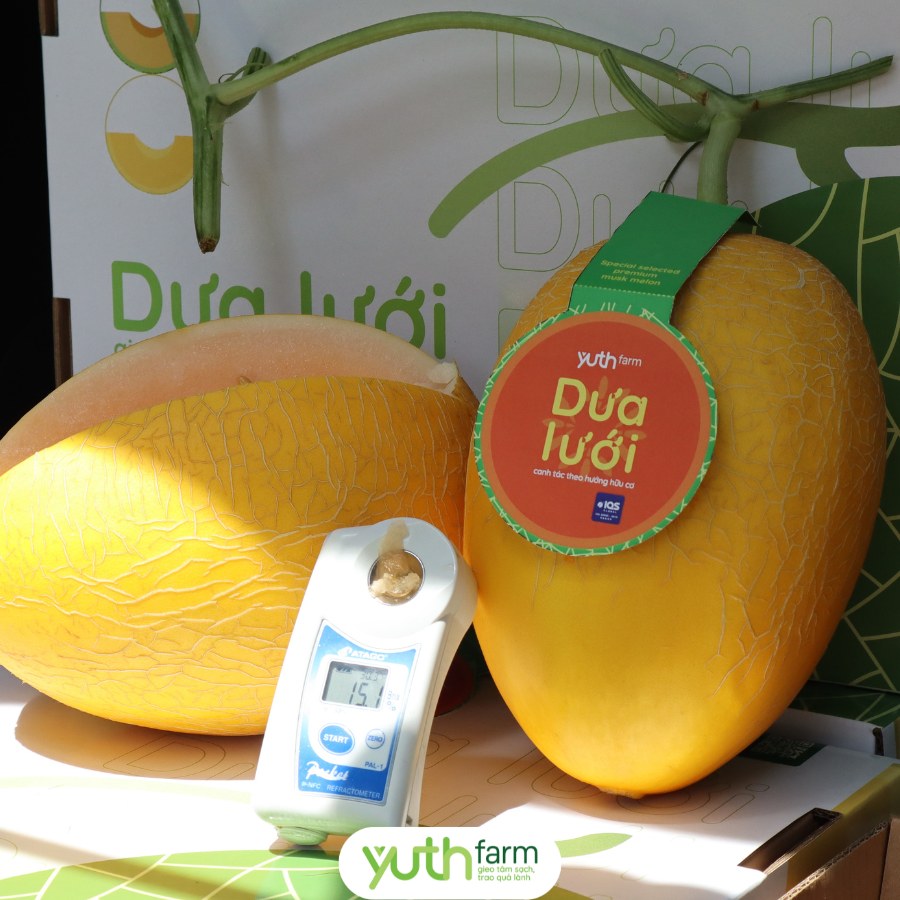 DƯA LƯỚI YUTH FARM THÙNG 4 TRÁI