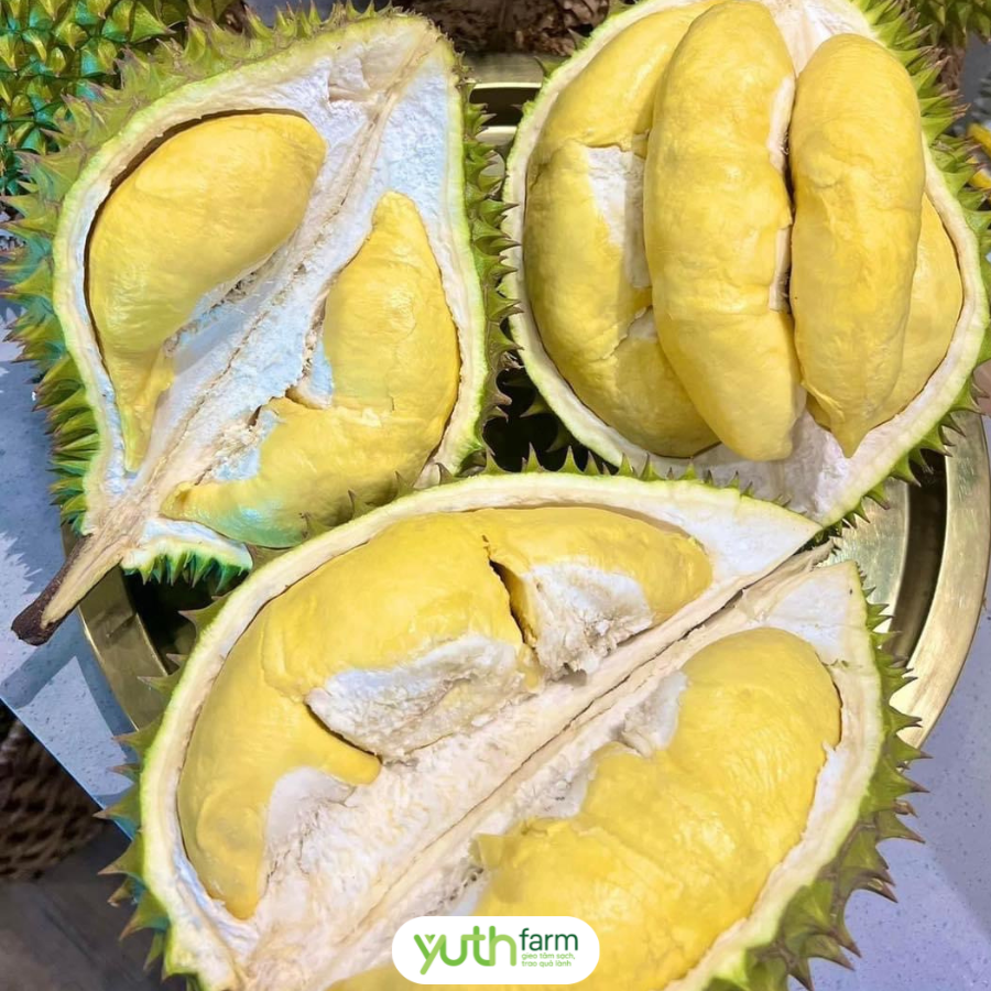 Sầu riêng Ri6