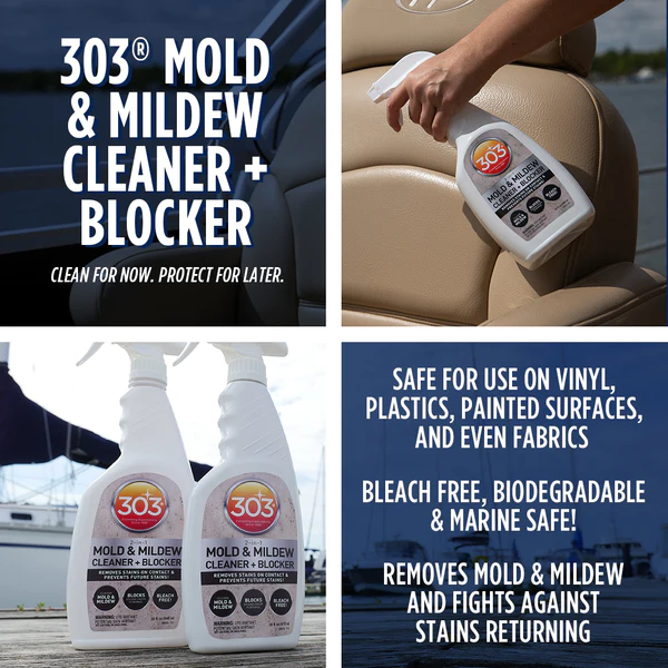  303 Mold & Mildew Cleaner + Blocker - Tẩy nấm mốc 