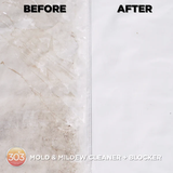  303 Mold & Mildew Cleaner + Blocker - Tẩy nấm mốc 