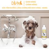  Sữa tắm chó dưỡng lông chống rối DIVA Vàng 400ml 