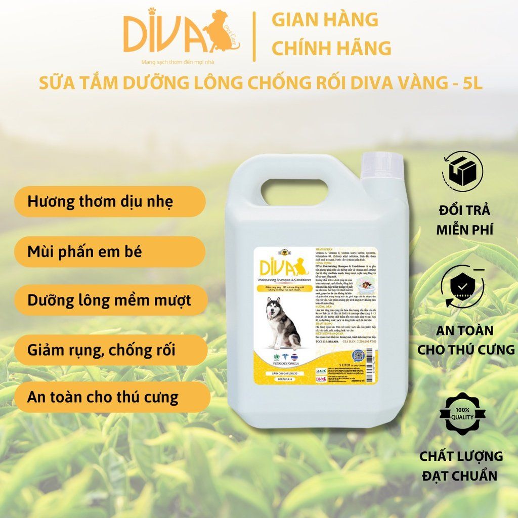  Sữa tắm chó dưỡng lông chống rối DIVA Vàng 5L 