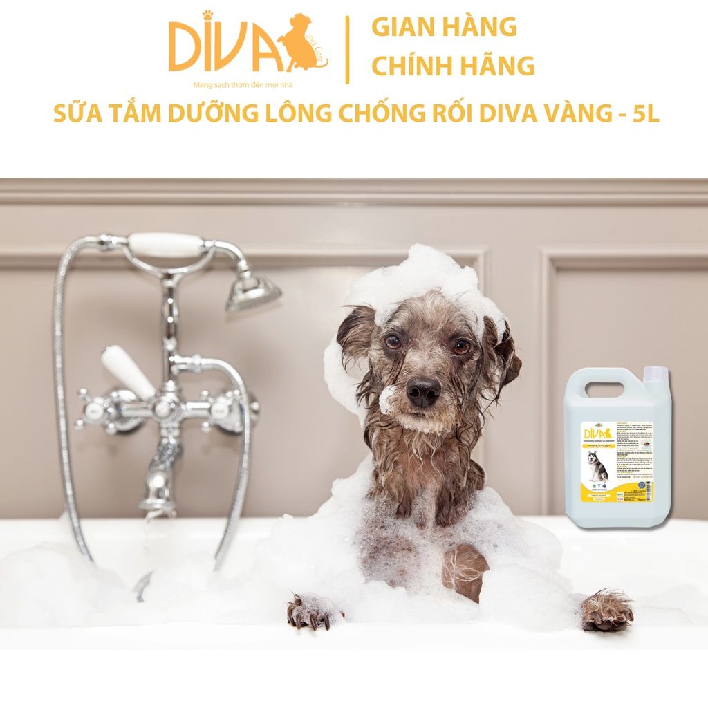  Sữa tắm chó dưỡng lông chống rối DIVA Vàng 5L 