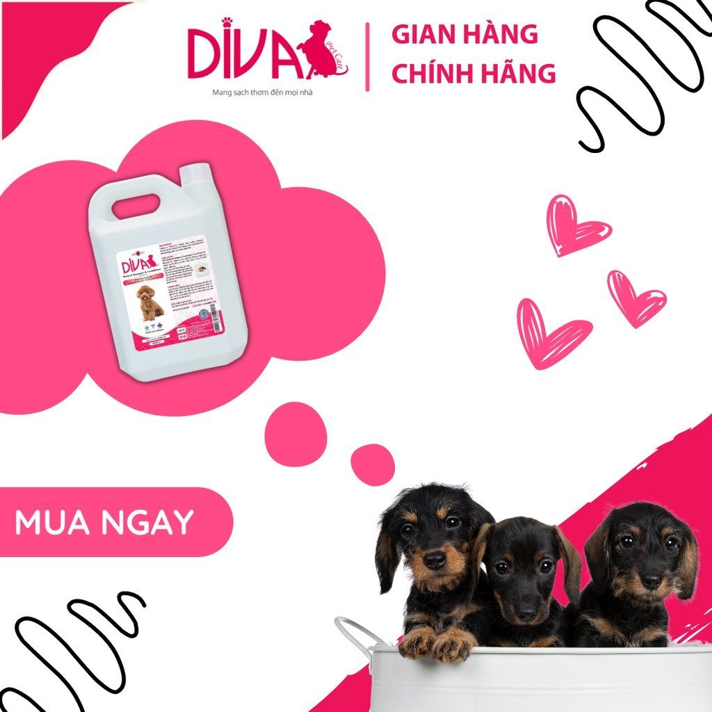  Sữa tắm dưỡng ẩm khử mùi DIVA Hồng 5L 