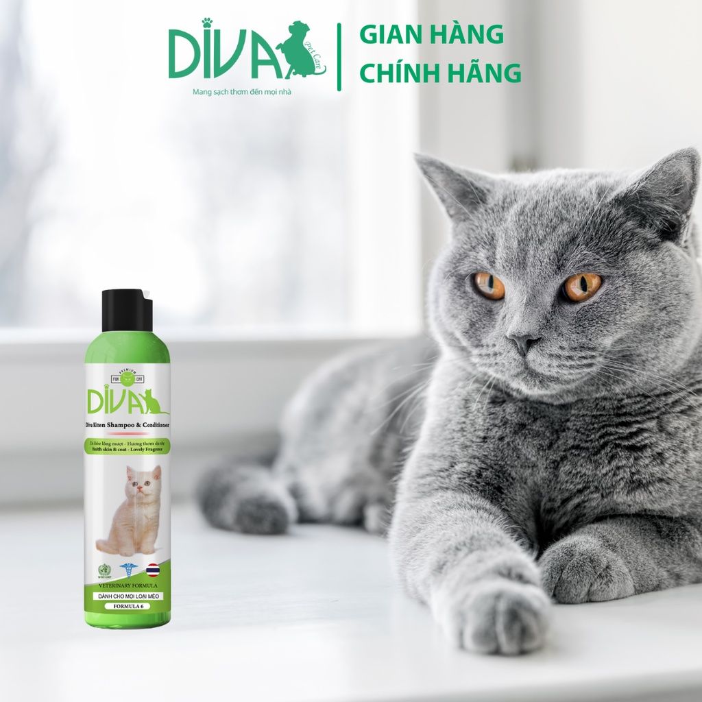  Sữa tắm mèo DIVA Kitten gel 260ml 