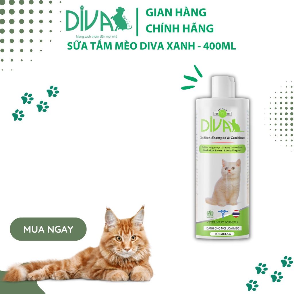  Sữa tắm mèo DIVA Kitten gel 400ml 