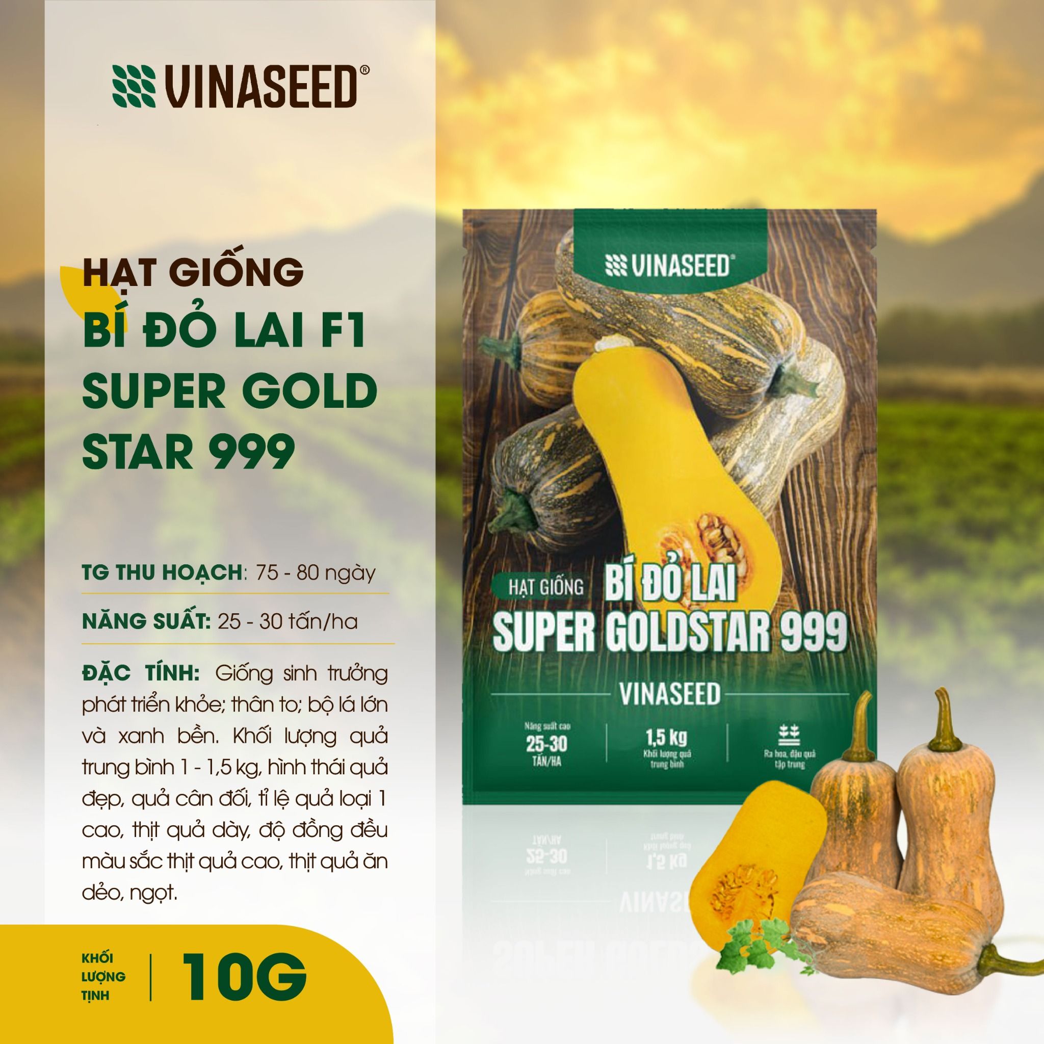  Hạt Giống Bí Đỏ Lai F1 Supper Gold Star 999 Túi 10g 