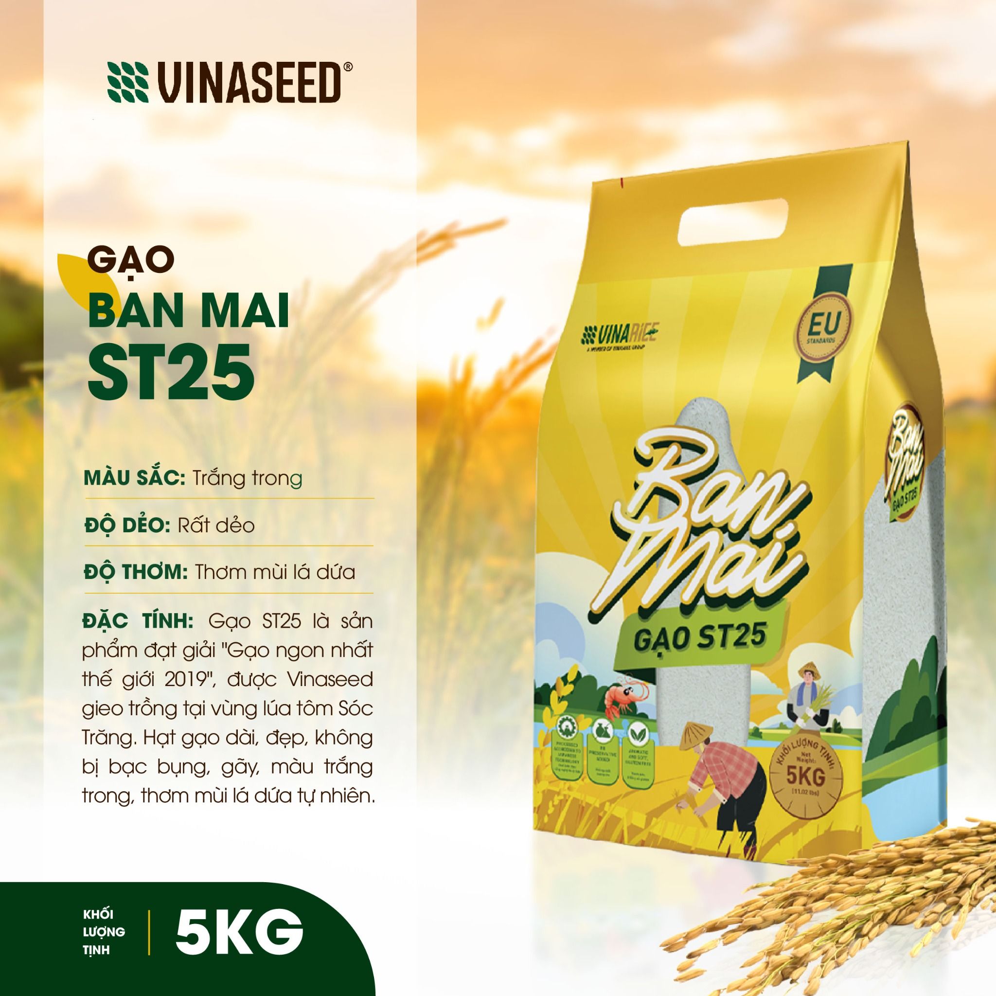  Gạo ST25 Ban Mai Vinaseed Túi 5Kg 