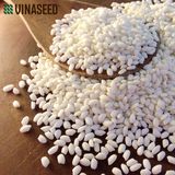  Gạo nếp Hoa Vàng Vinaseed túi 2kg 