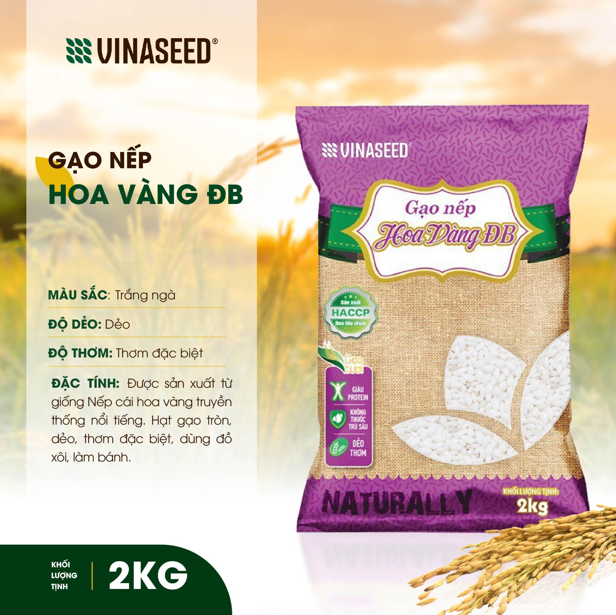  Gạo nếp Hoa Vàng Vinaseed túi 2kg 