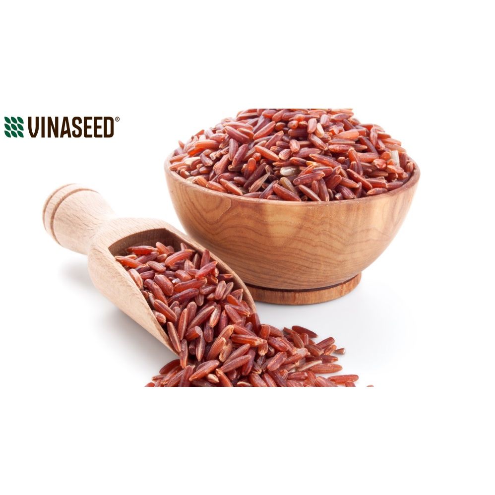  Gạo Huyết Rồng Phúc Thọ Vinaseed 1Kg 