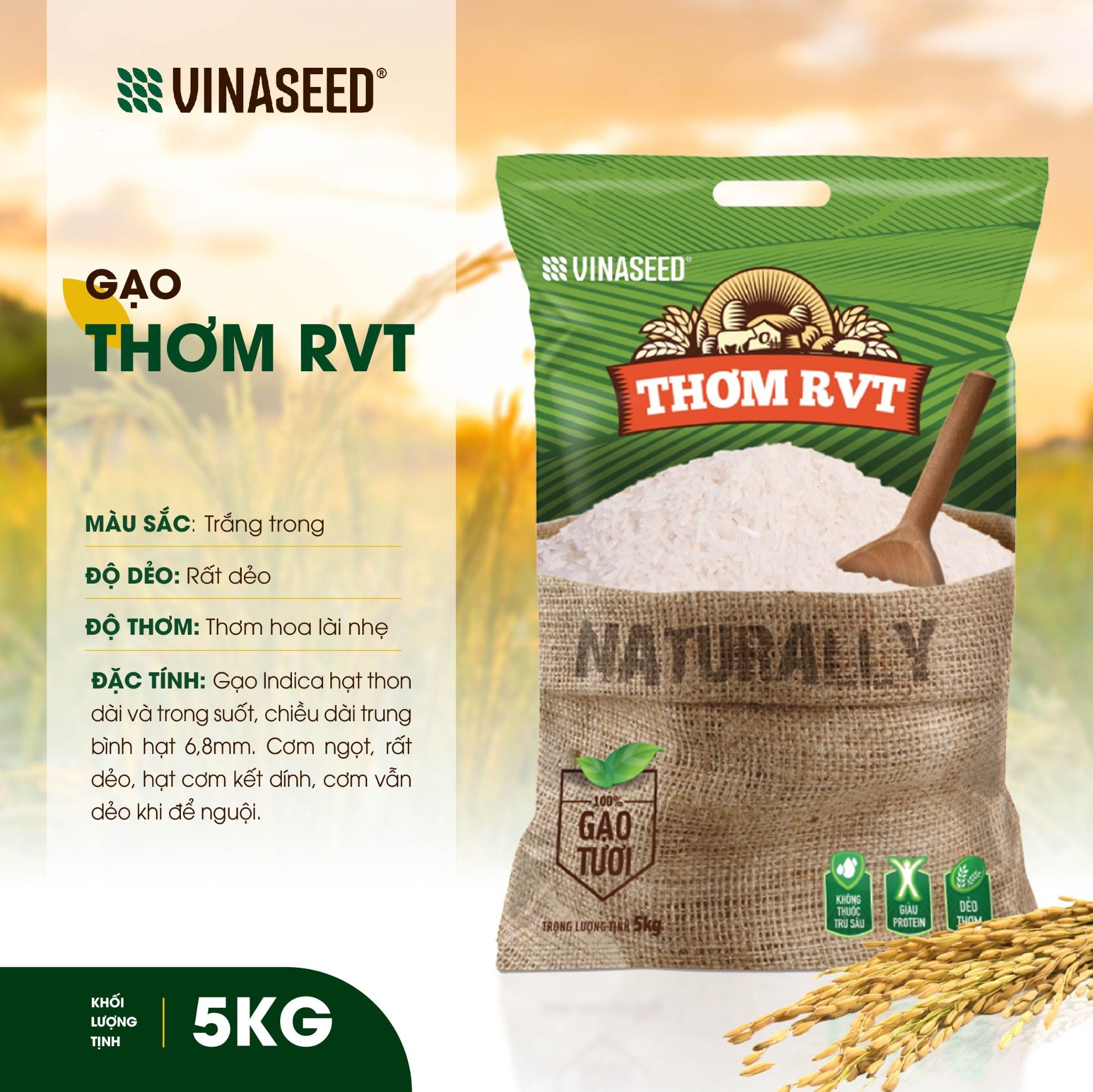  Gạo Thơm RVT Vinaseed Túi 5Kg 