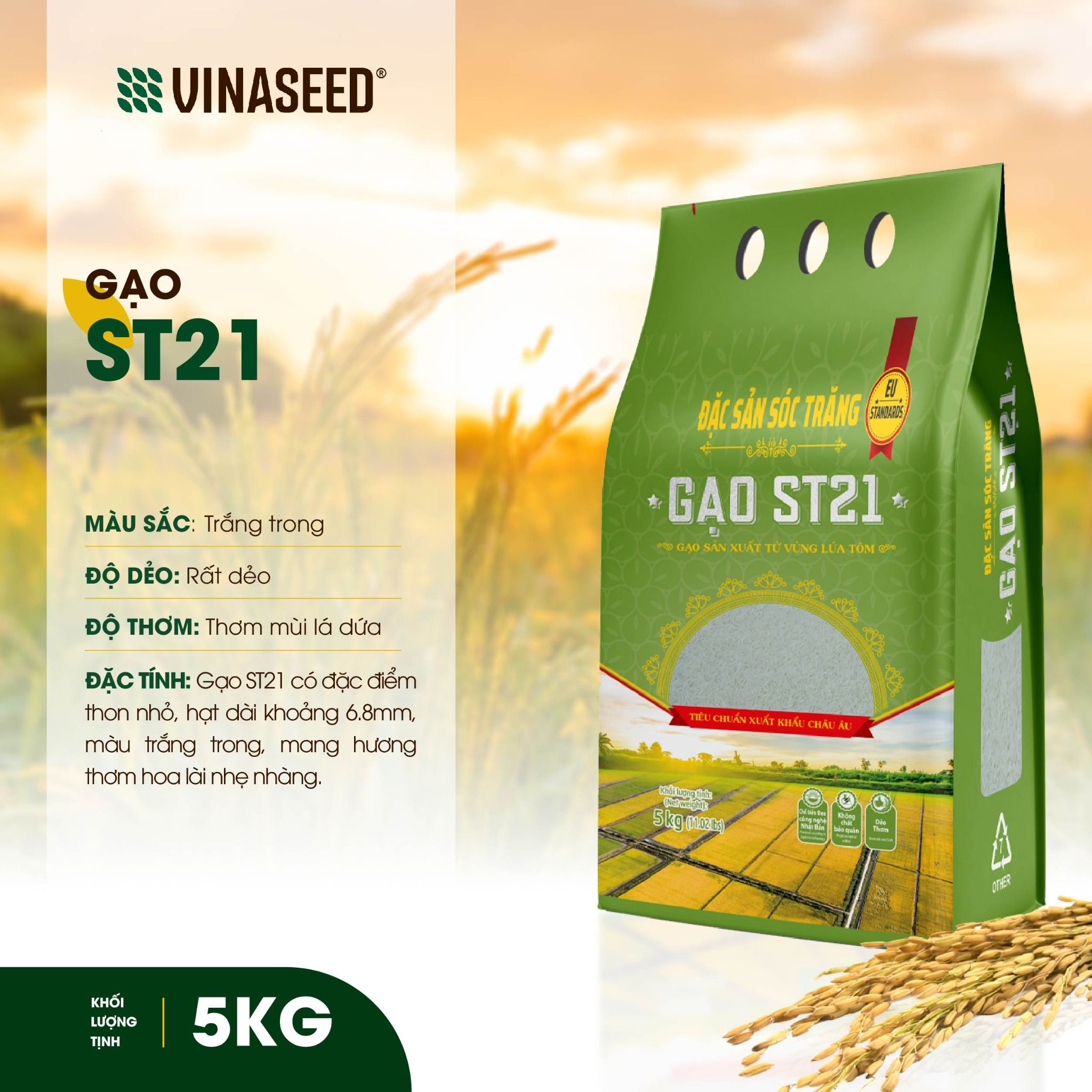  Gạo ST21 Vinaseed Túi 5Kg 