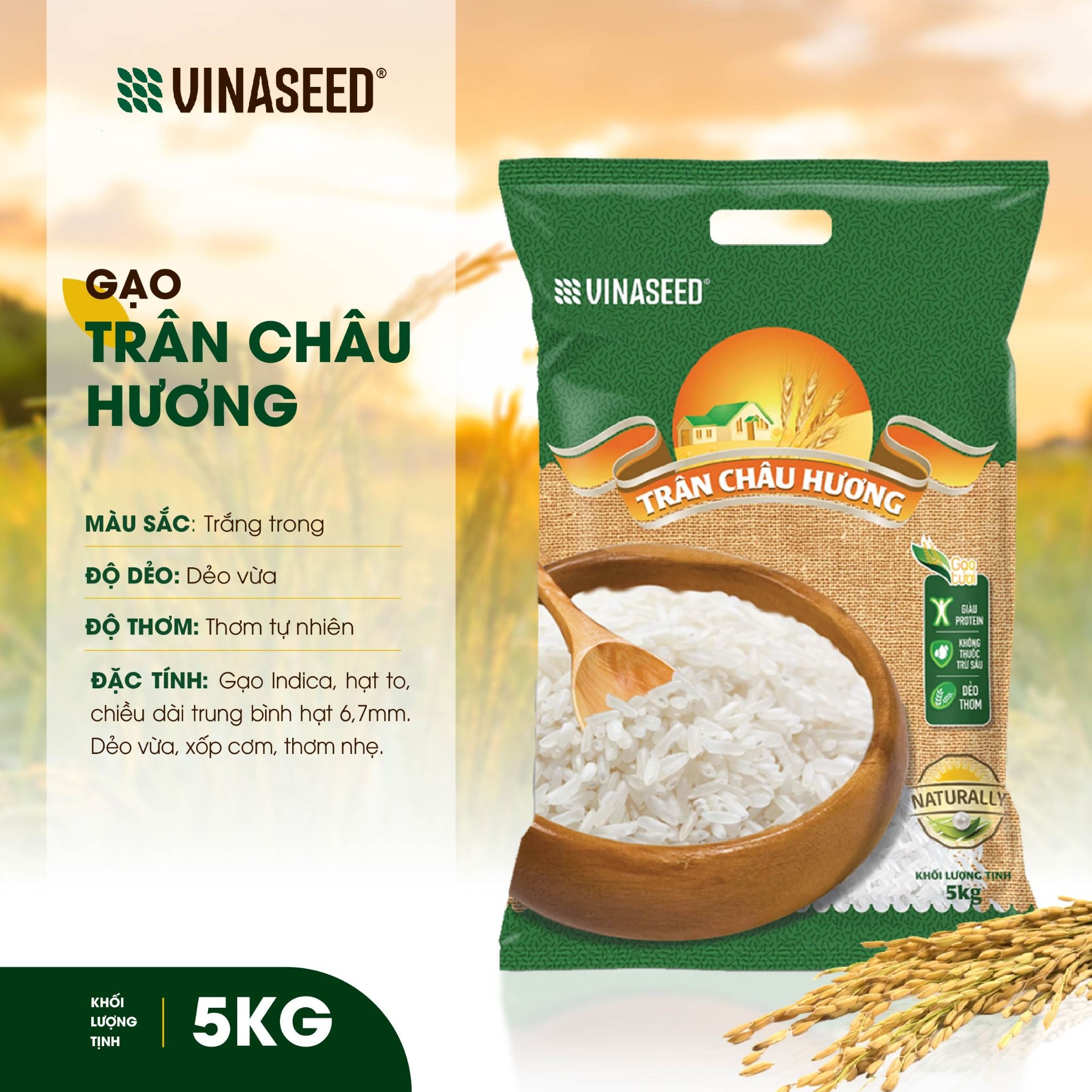 Gạo Trân Châu Hương Vinaseed Túi 5Kg