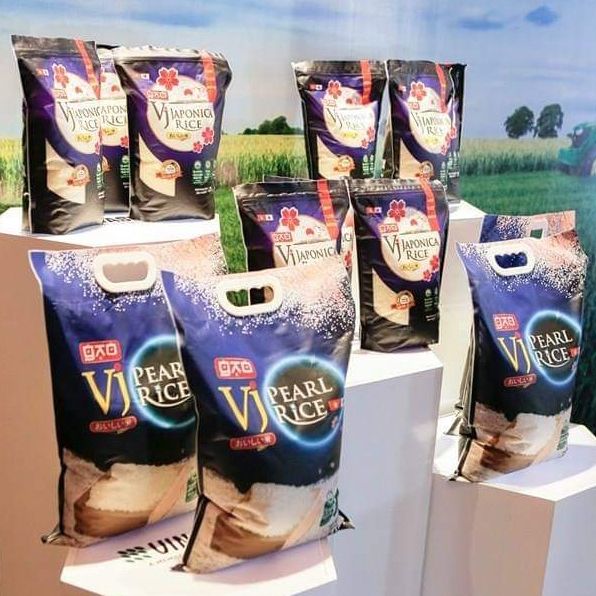  Gạo VJ Pearl Rice Vinaseed Túi 5kg 