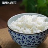  Gạo VJ Pearl Rice Vinaseed Túi 5kg 