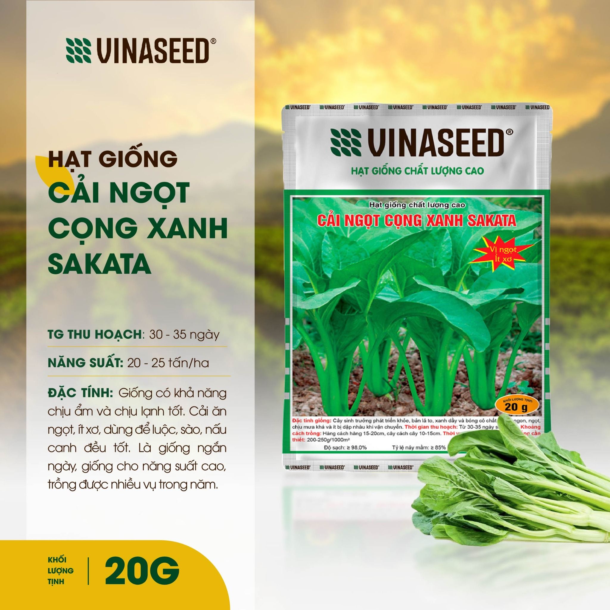  Hạt giống Cải ngọt cọng xanh Sakata Vinaseed 20g 