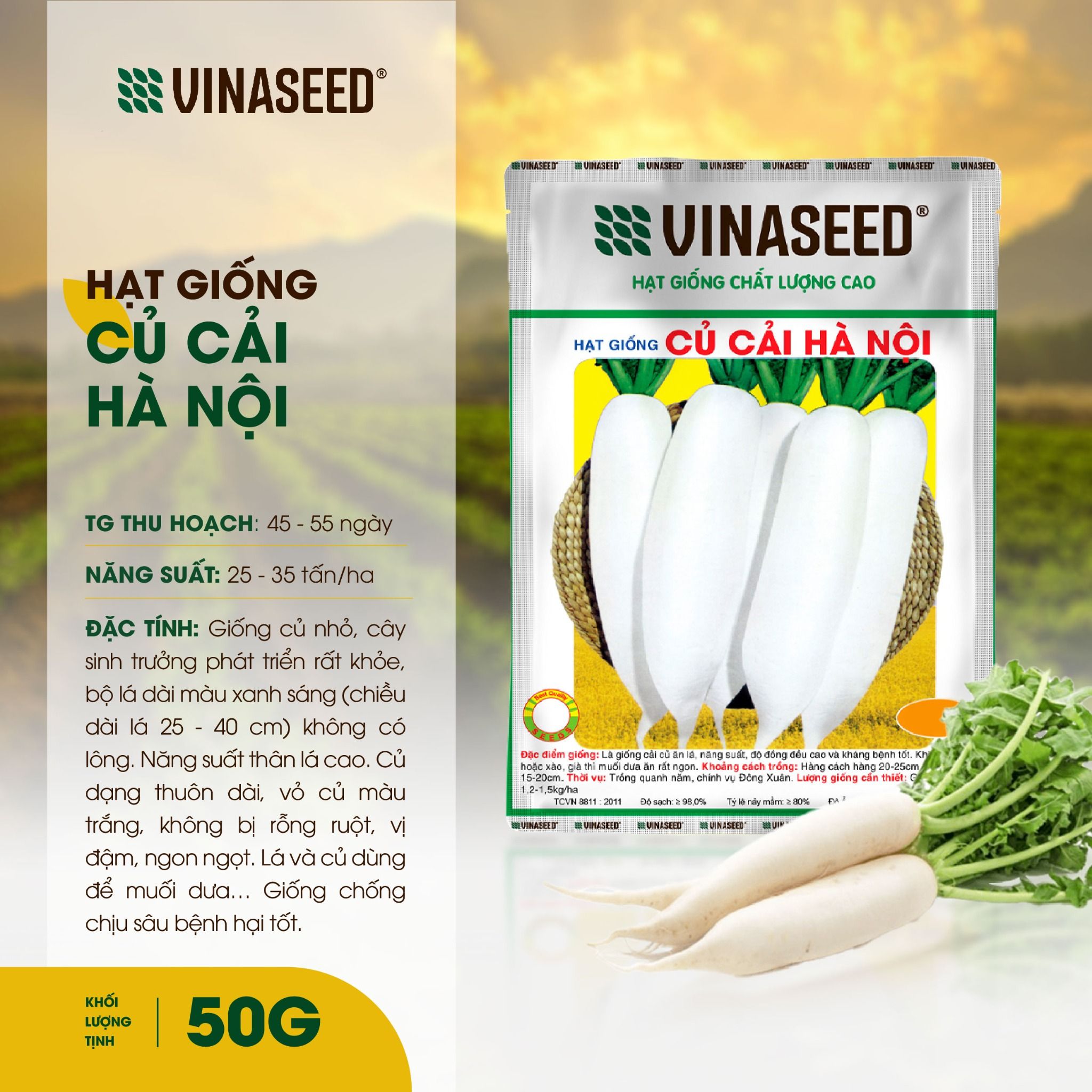  Hạt giống Cải củ Hà Nội Vinaseed 