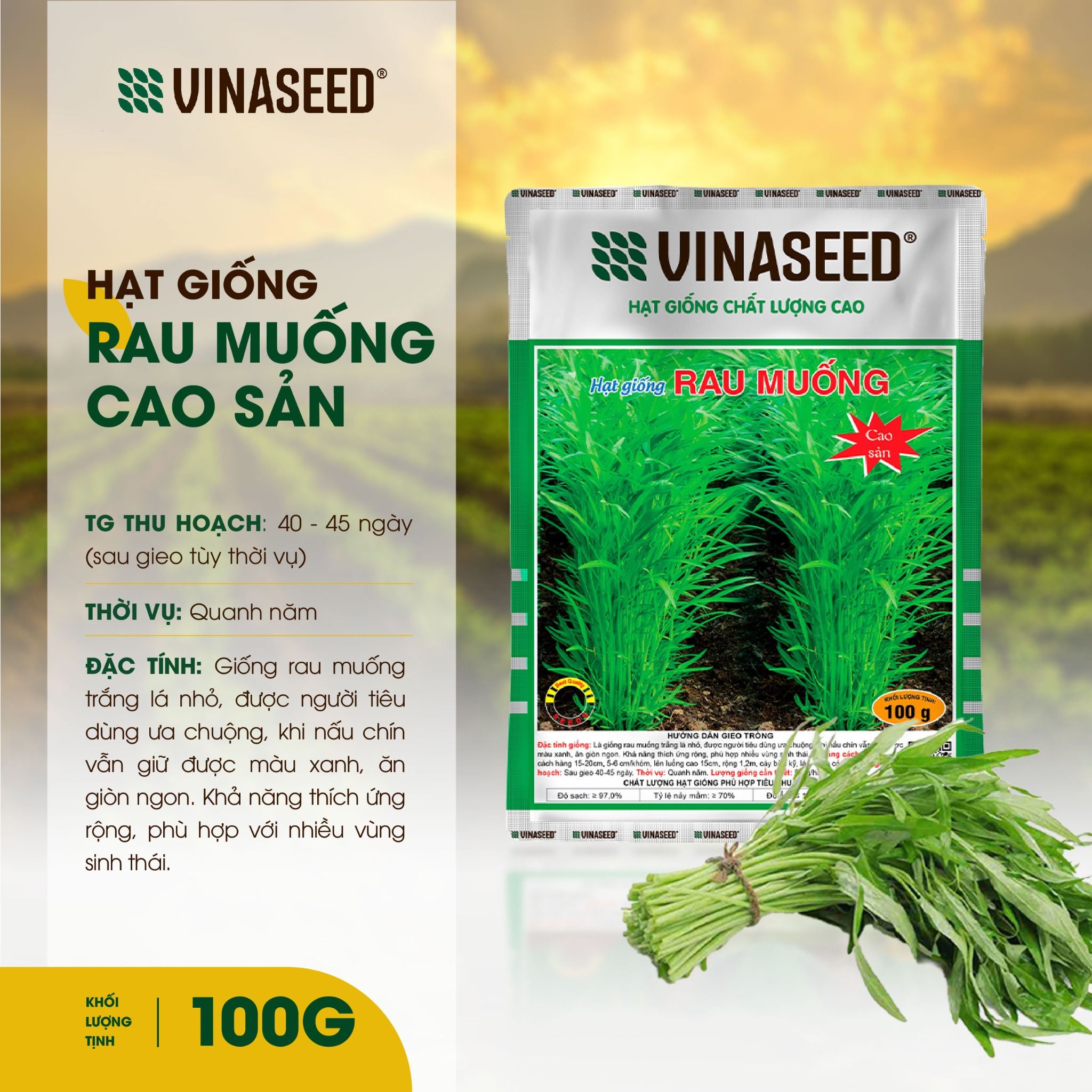  Hạt giống Rau muống Cao sản Vinaseed túi 100g 