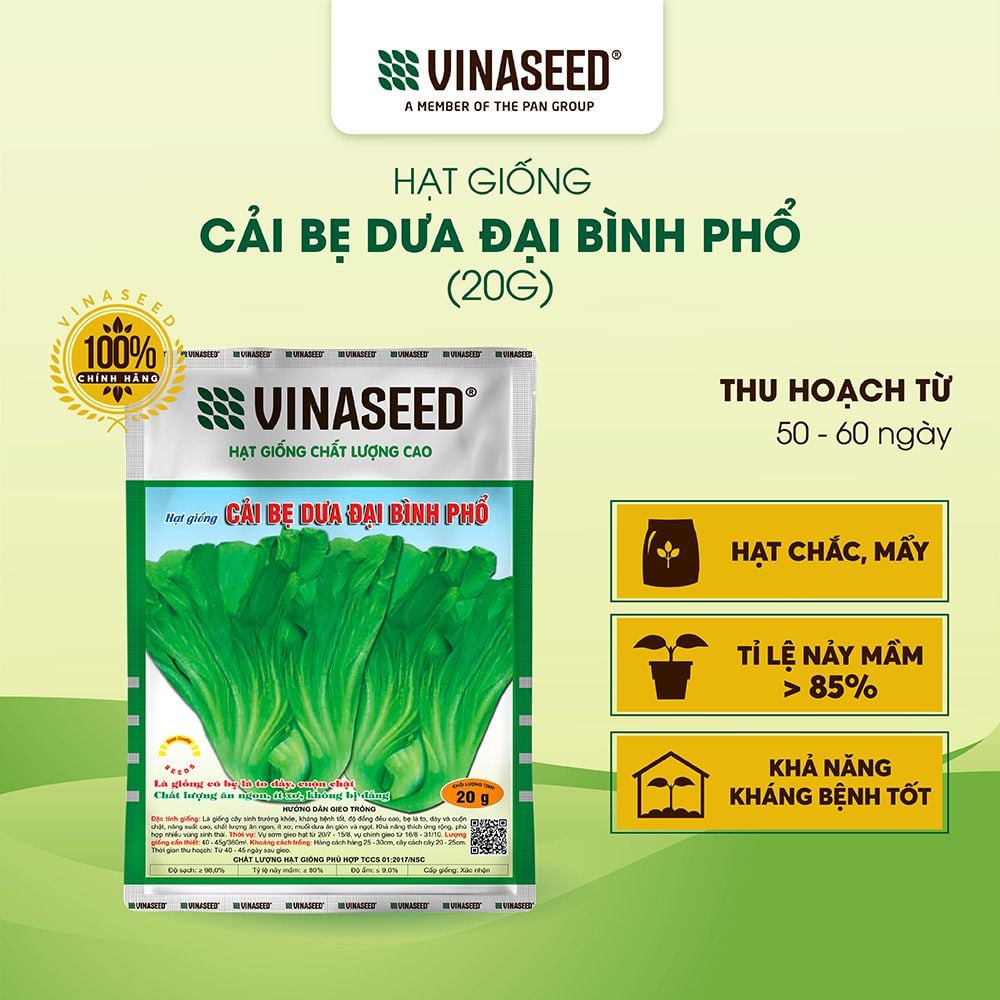  Hạt giống Cải bẹ Đại bình phổ Vinaseed Túi 20g 