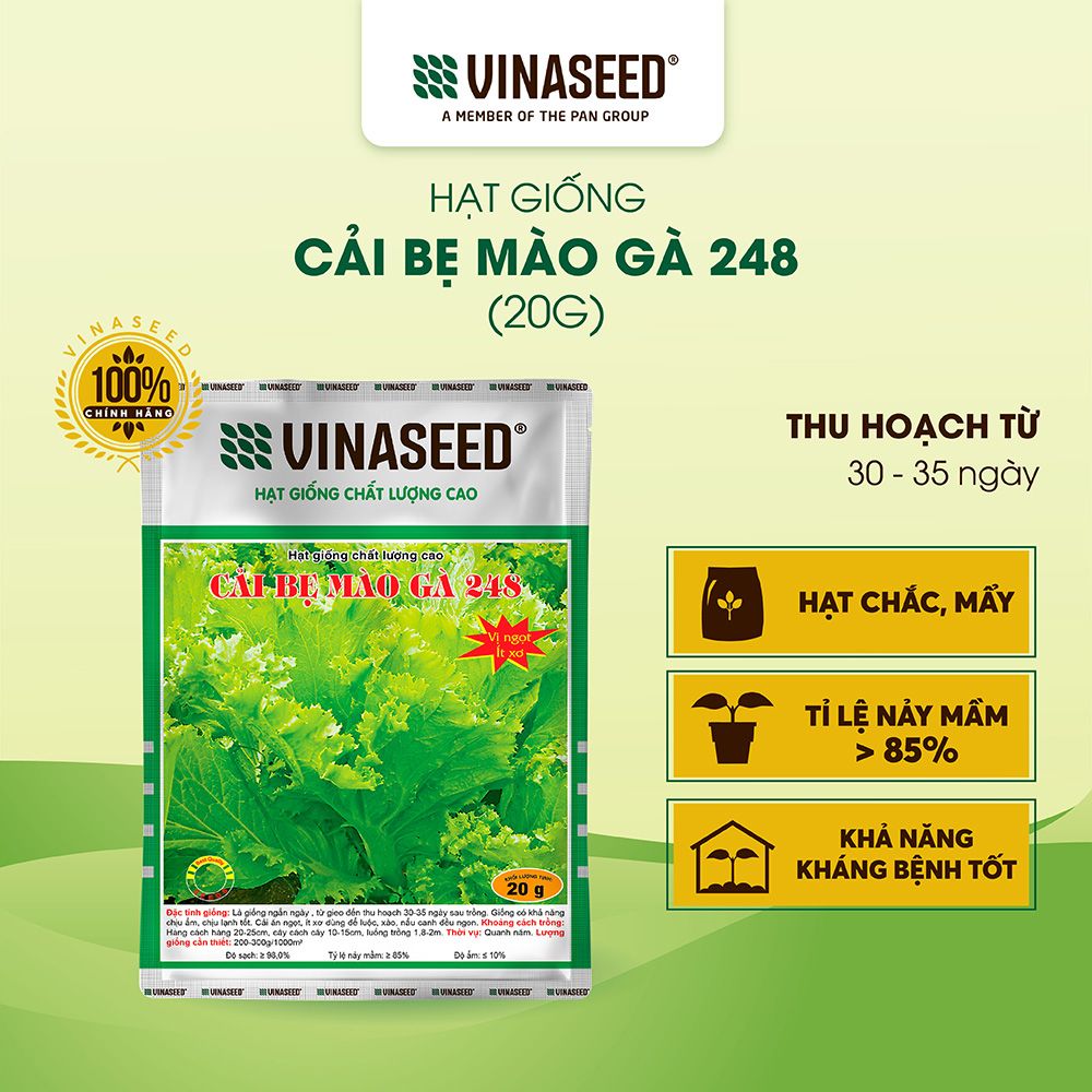  Hạt giống Cải bẹ mào gà 248 Vinaseed túi 20g 