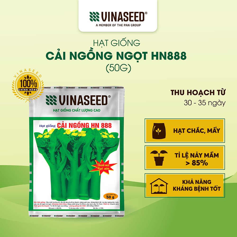  Hạt giống Cải ngồng ngọt HN888 Vinaseed Túi 20g/50g 