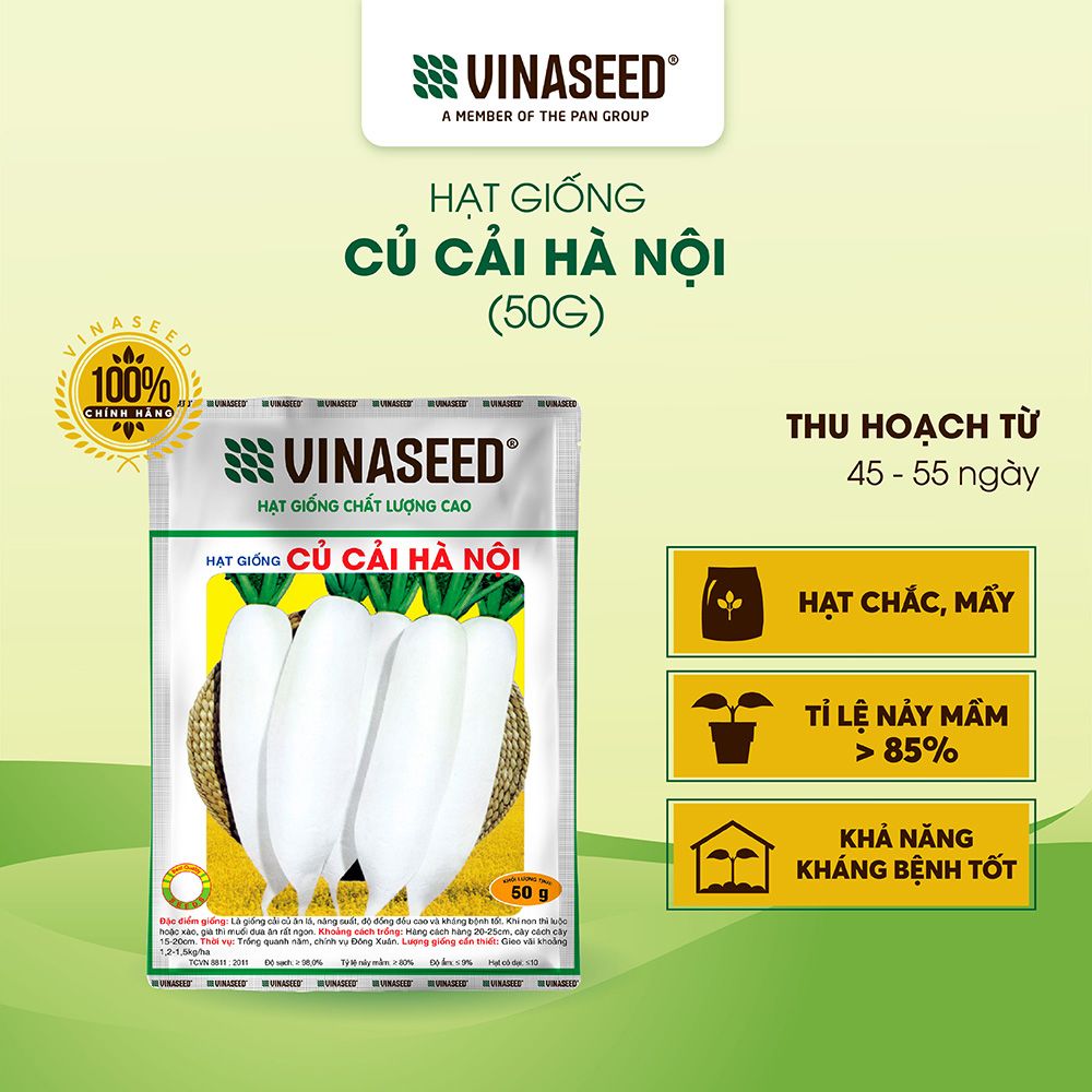  Hạt giống Cải củ Hà Nội Vinaseed 