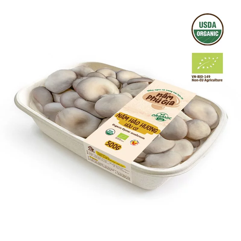  Nấm Hào Hương tươi | Hữu cơ | Khay 500g 