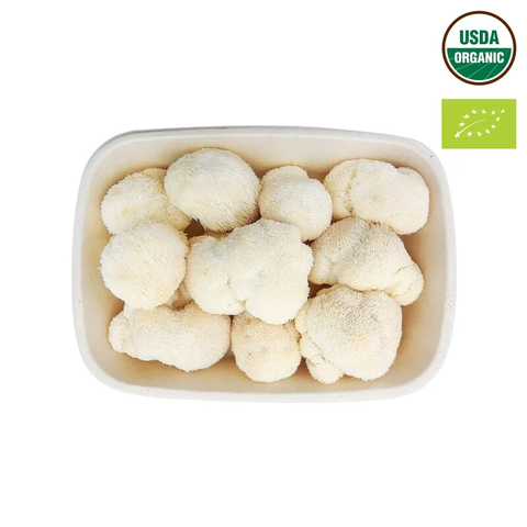  Nấm Hầu Thủ tươi | Hữu cơ | Khay | 500g 