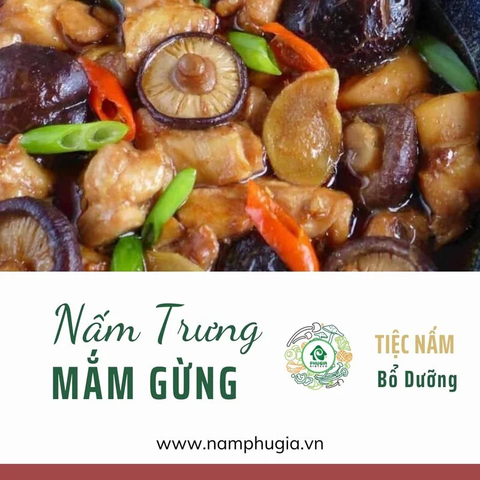  Nấm Hương khô cao cấp | Cỡ M | Gói 300g/ 500g 