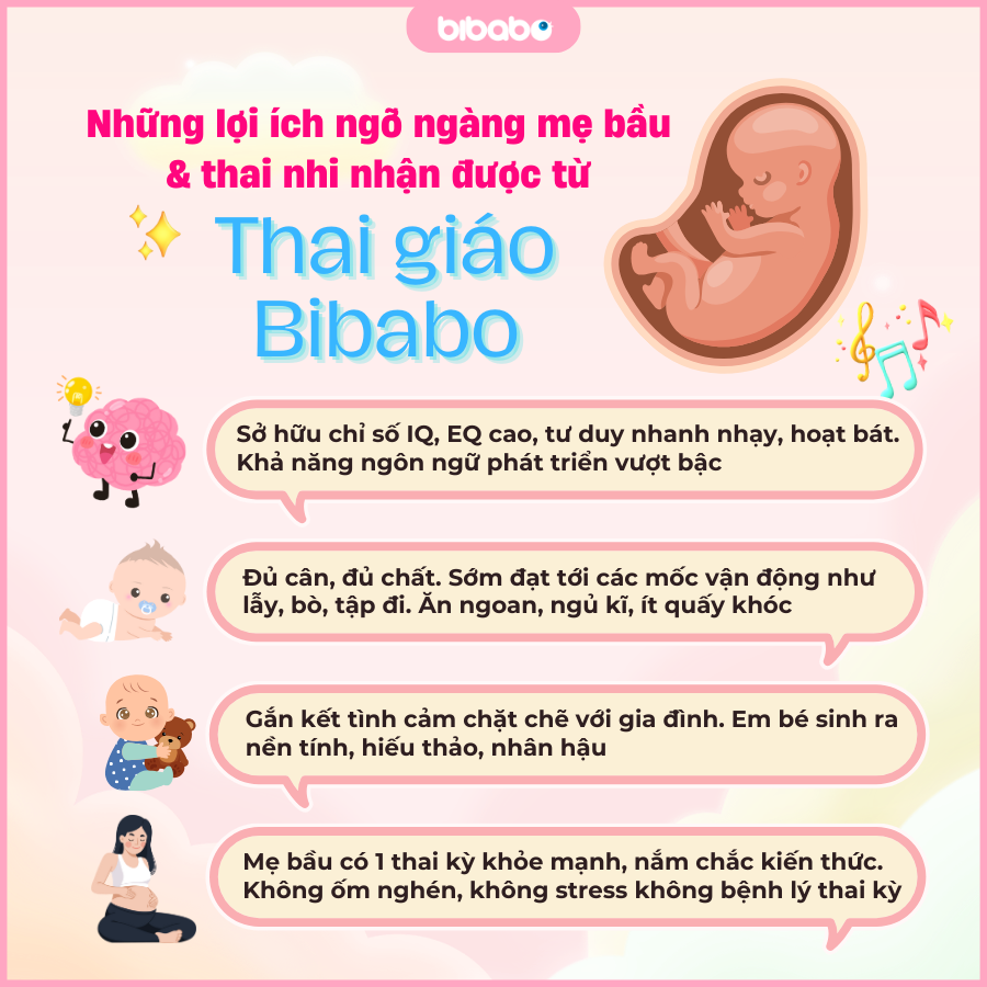 Bibabo - Khóa học Thai giáo và Chăm sóc thai kỳ