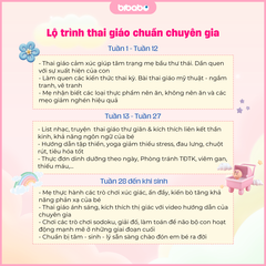 Bibabo - Khóa học Thai giáo và Chăm sóc thai kỳ