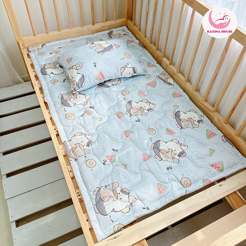 Bộ gối nệm (2 món)/ Tencel 40s