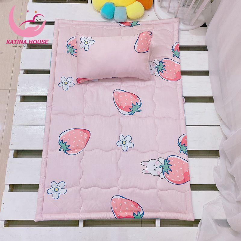 Bộ gối nệm (2 món)/ Tencel 40s