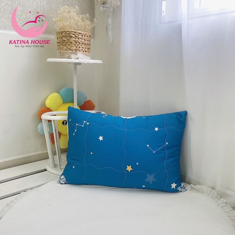Gối nằm chần gòn ruột lông vũ 50x70cm/ Tencel 40s