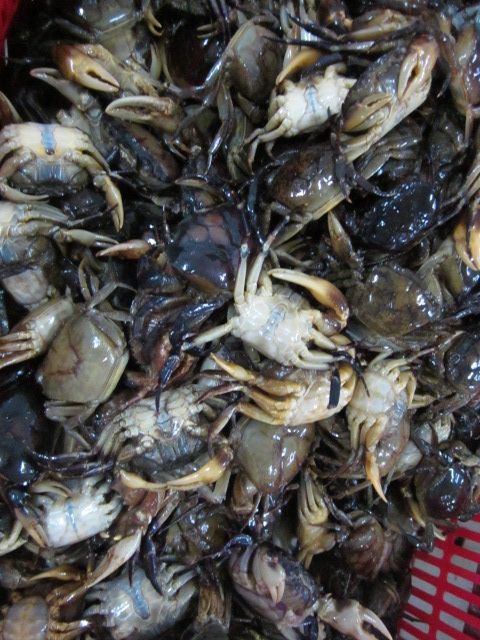  Freshwater Crab - Minced 