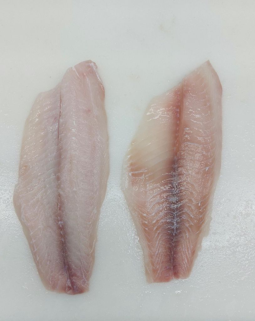  Black Tilapia - Fillet 